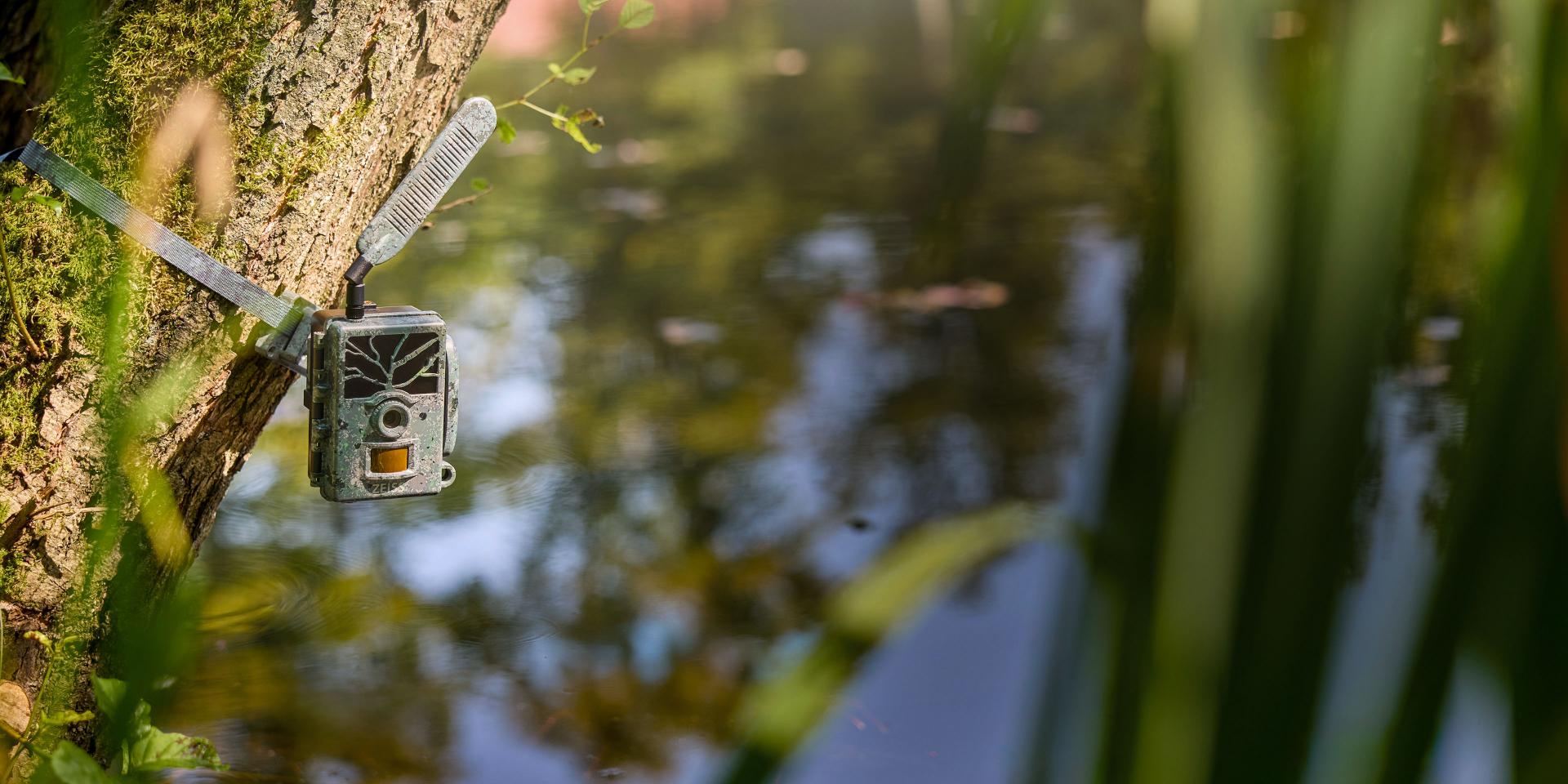 Un cinghiale corre di notte in una foresta buia e nebbiosa, mentre una persona lo osserva da dietro un albero utilizzando un dispositivo ottico ZEISS.