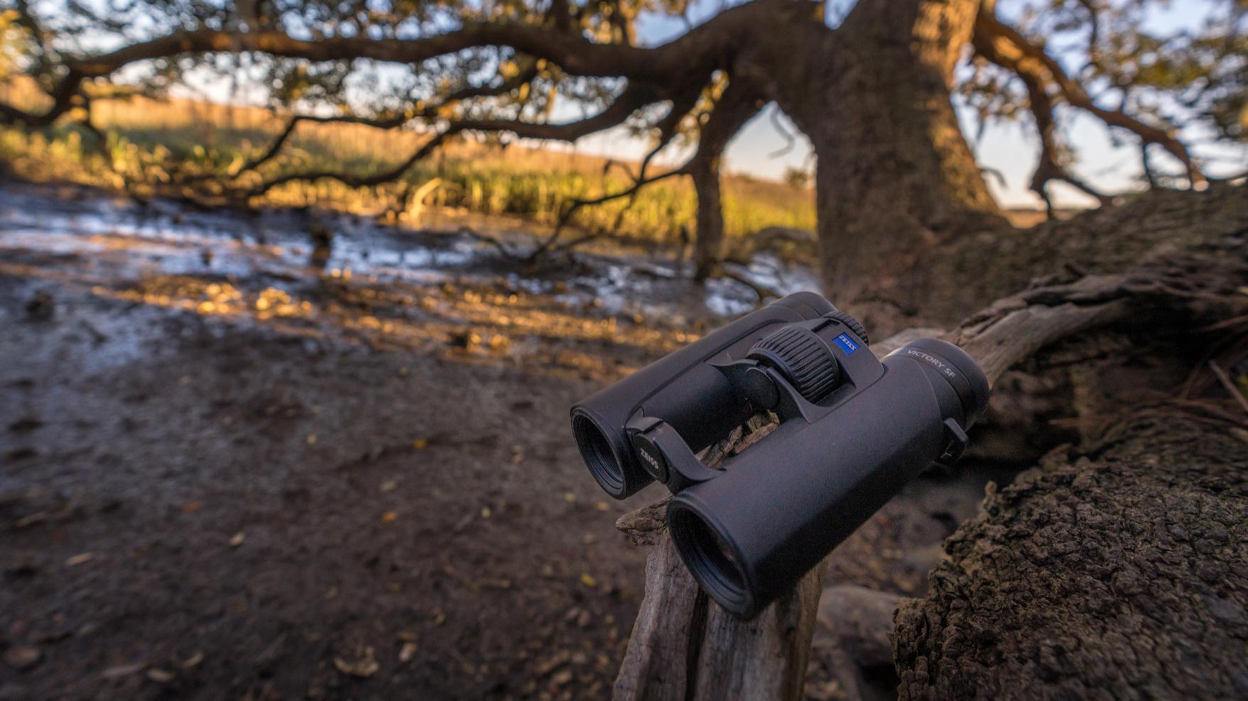 A pair of ZEISS binoculars resting on a tree branch in a scenic outdoor setting near a riverbank.