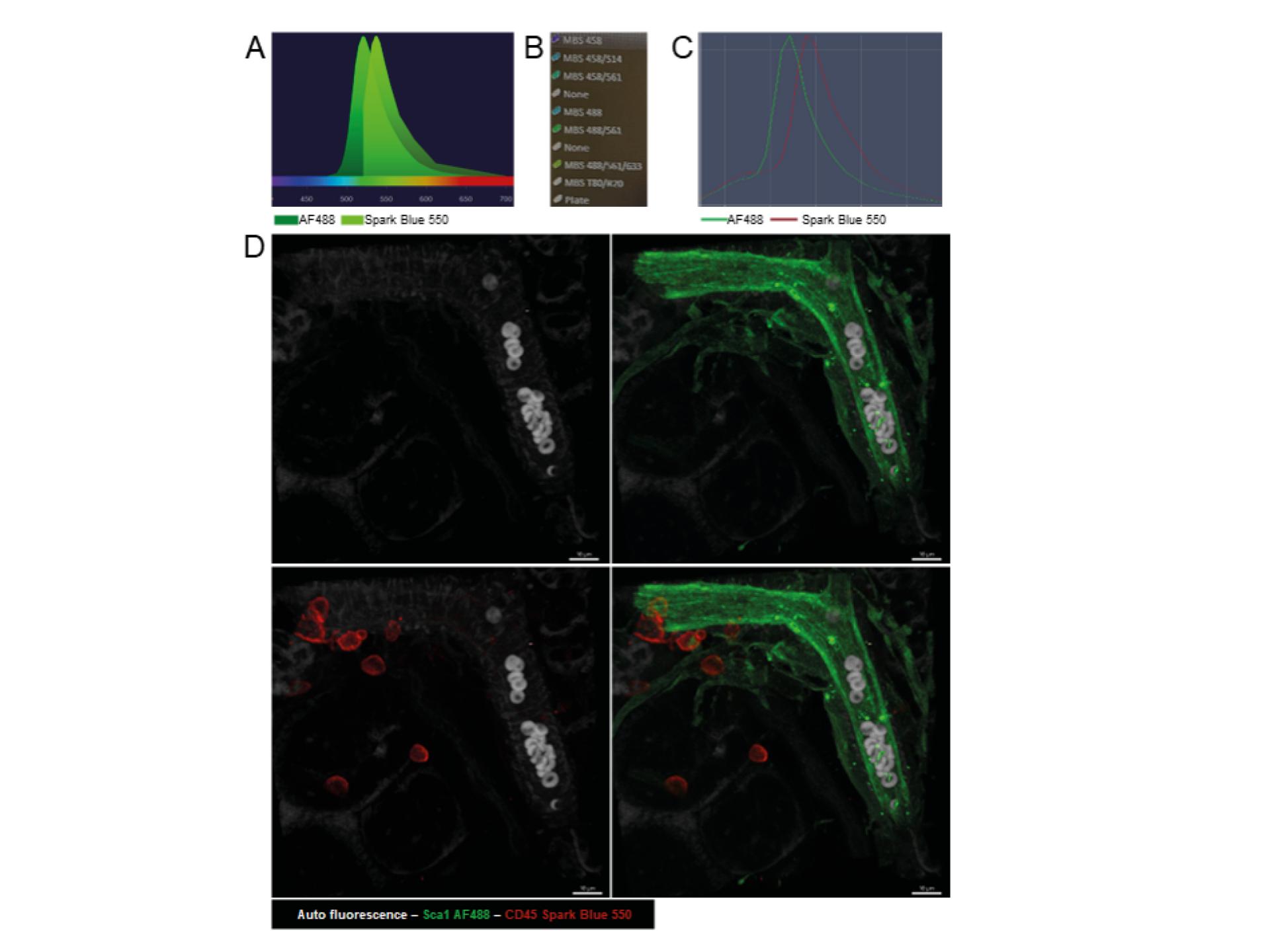 Multiphoton Multispectral Imaging with Single Wavelength Excitation