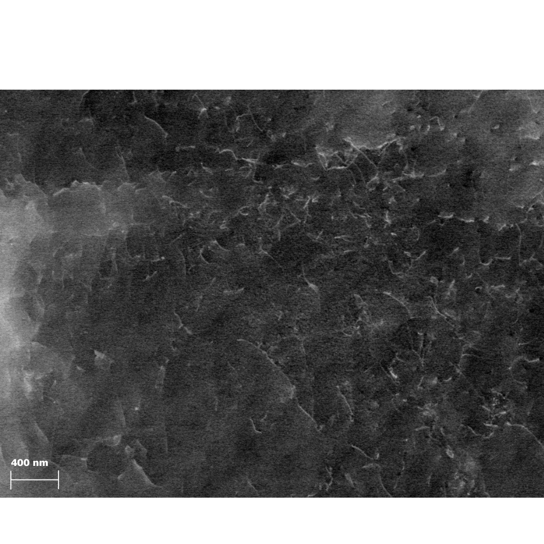 Picture of segmented active ingredient particles in an antihistamine tablet. Following imaging on a ZEISS Versa XRM, the data was reconstructed using ZEISS DeepRecon Pro to improve contrast between similar low density materials for better segmentation. Widest width of tablet is 5 mm.