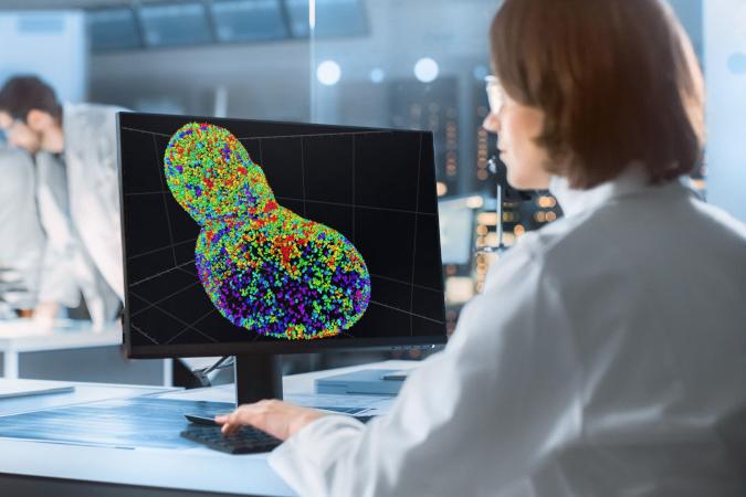 arivis Pro image analysis software