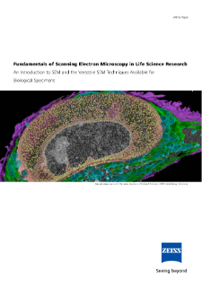 Preview image of Fundamentals of SEM in Life Science Research