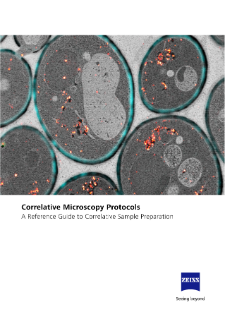 Preview image of Correlative Microscopy Protocols