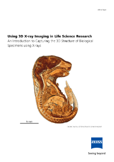 Preview image of Using 3D X-ray Imaging in Life Science Research