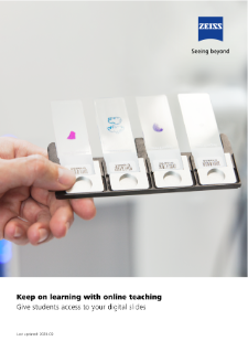 Preview image of Virtual Education with Digital Slides