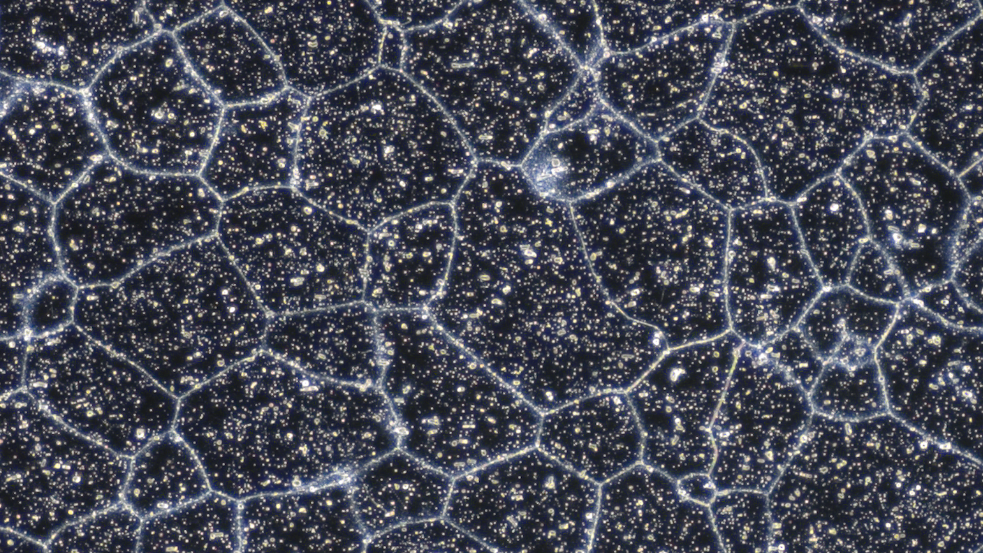 Microscopy applications for engineering materials research