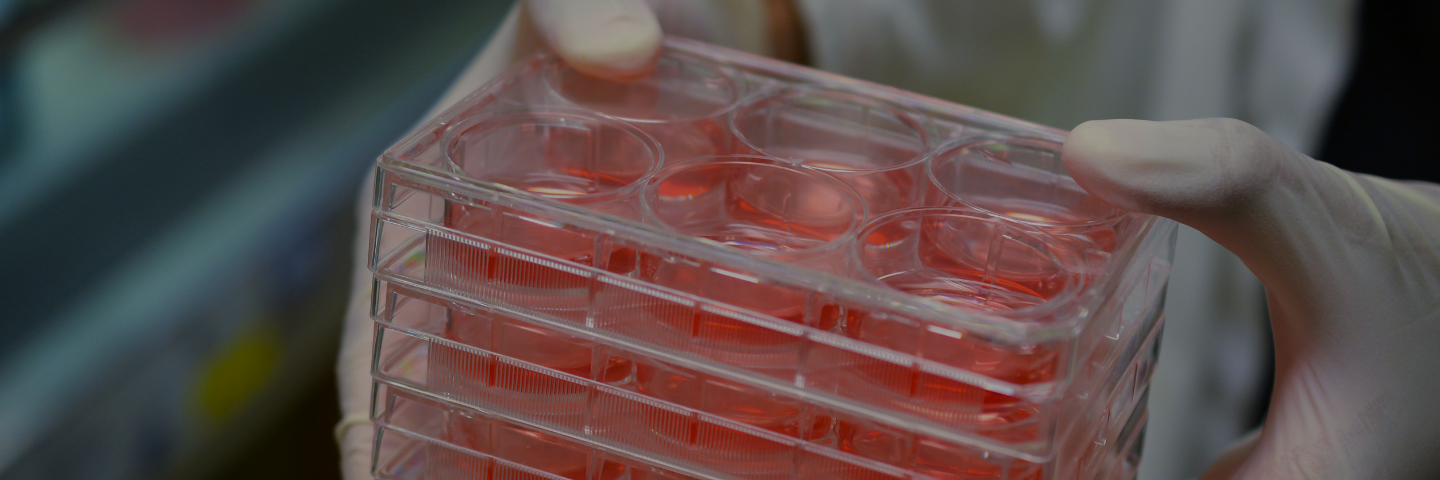 Multiwell cell culture plates