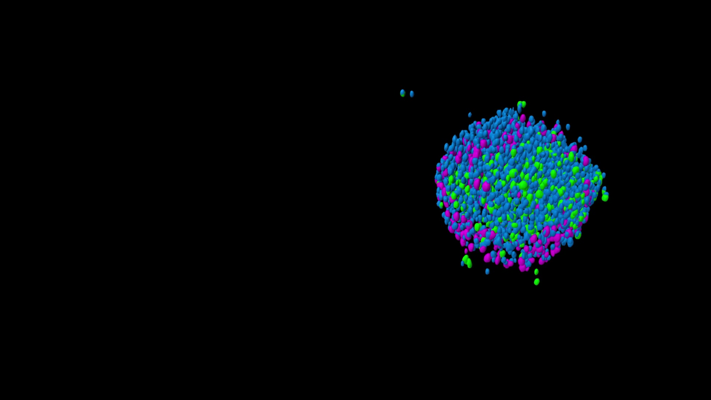 Cleared spheroid of a co-culture of HCT-116-GFP (colon cancer) / NIH-3T3-RFP (fibroblasts) cells stained with Hoechst for nuclei.