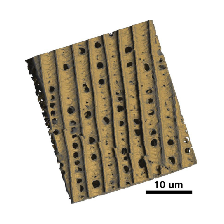 ZEISS Microscopy for Polymers & Soft Materials
