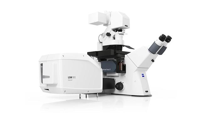 LSM 910