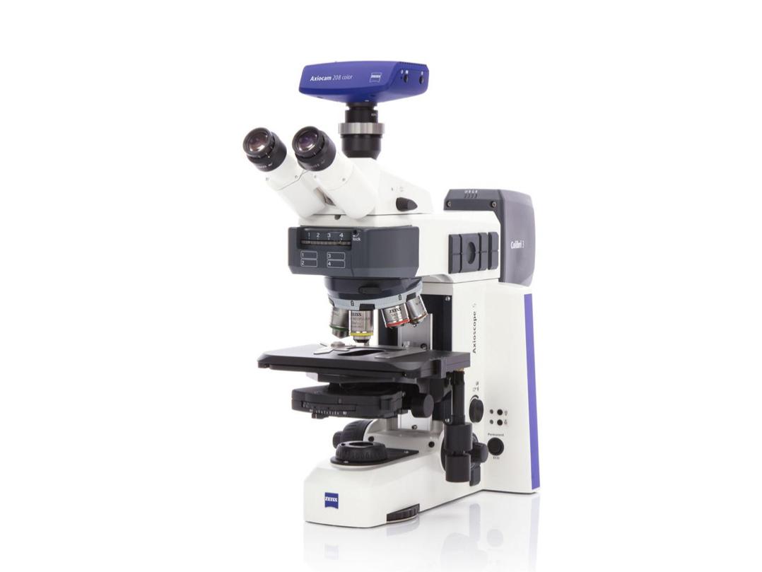 ZEISS Lightsheet 7