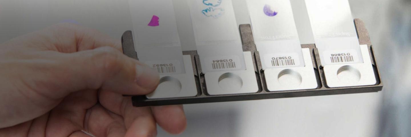 Zeiss Microscopy For Digitization