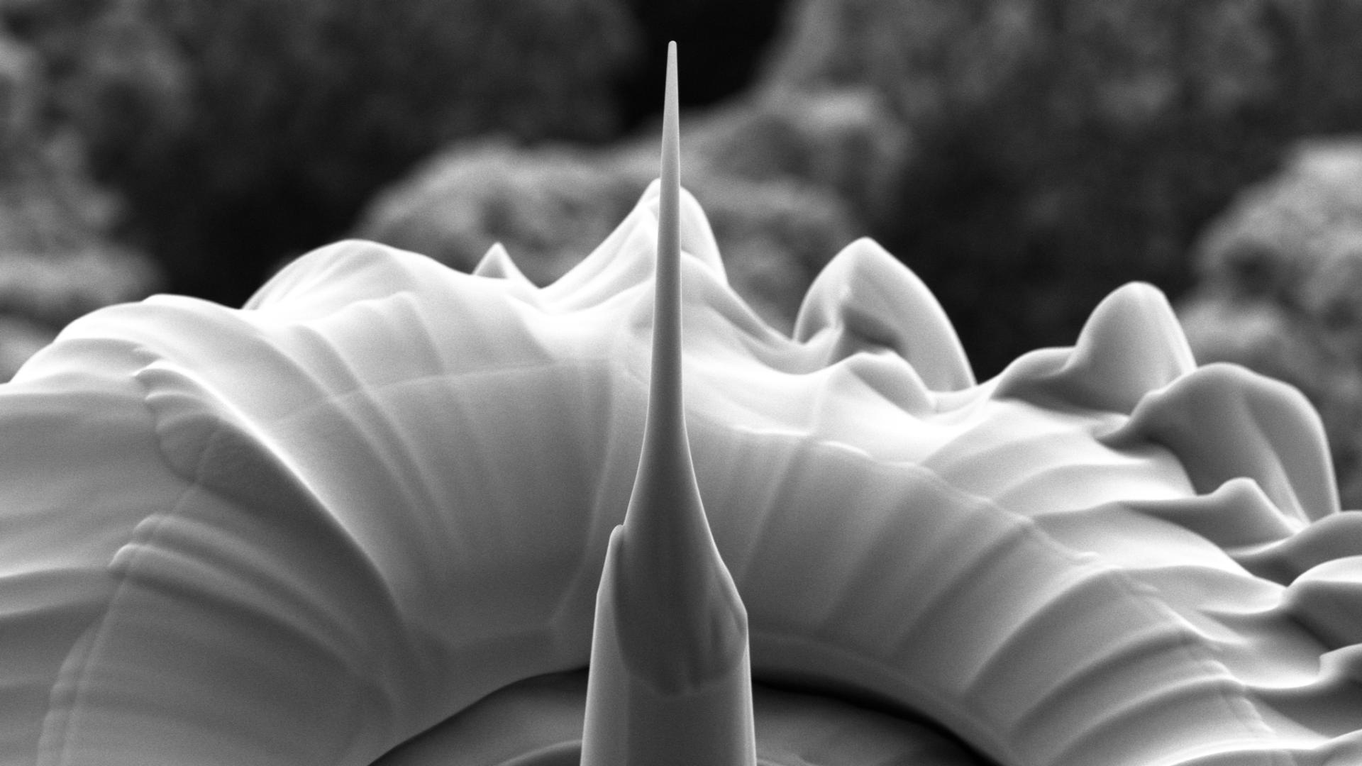 Nanoscience and functional materials applications