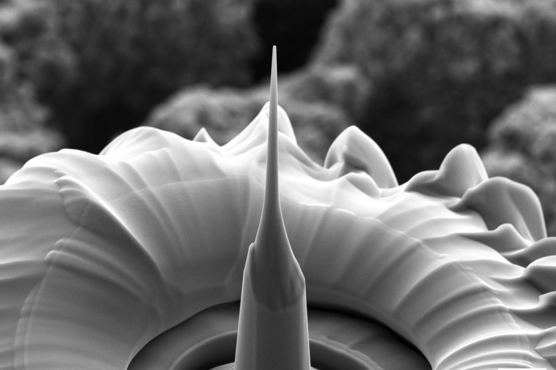 Nanoscience