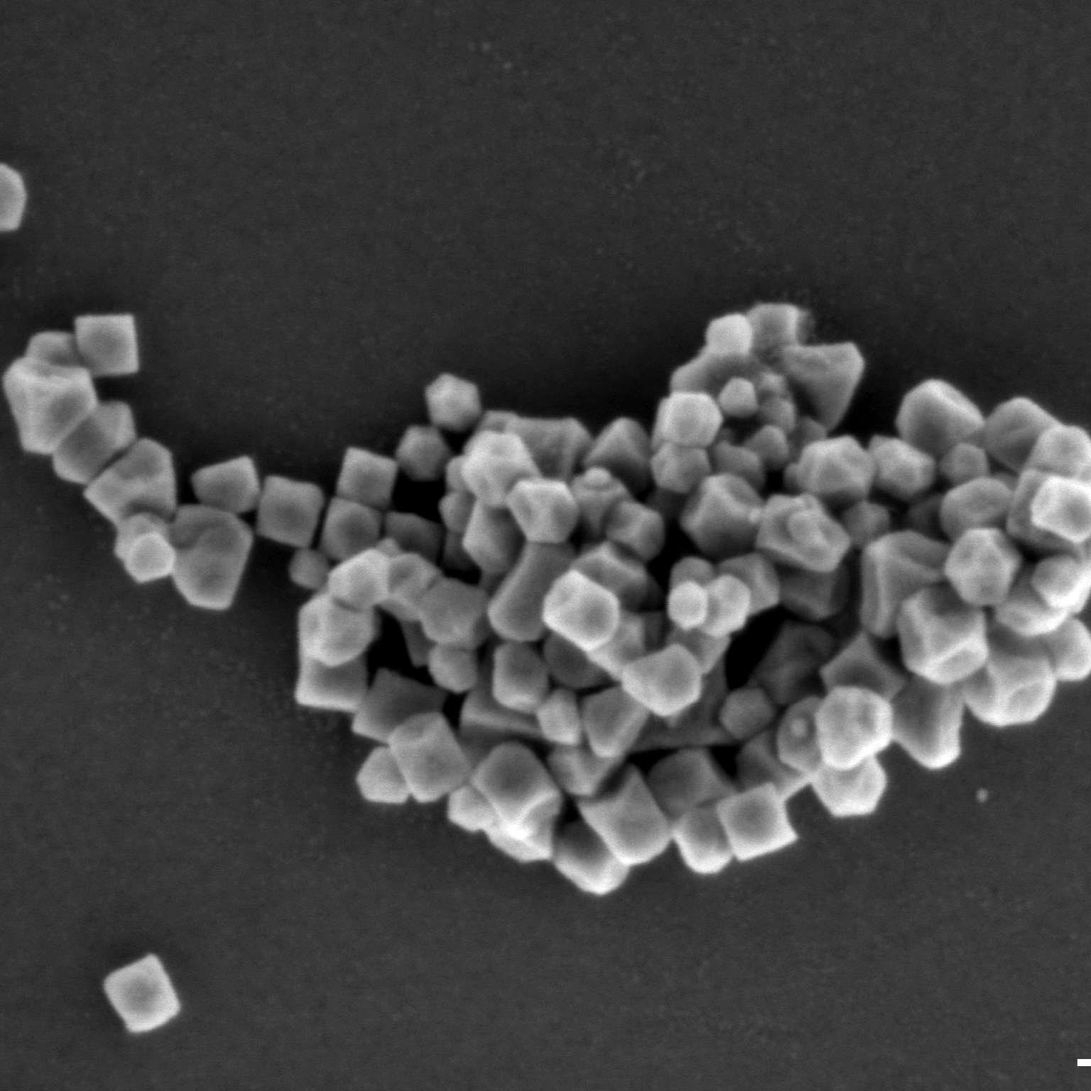 Nanoscience