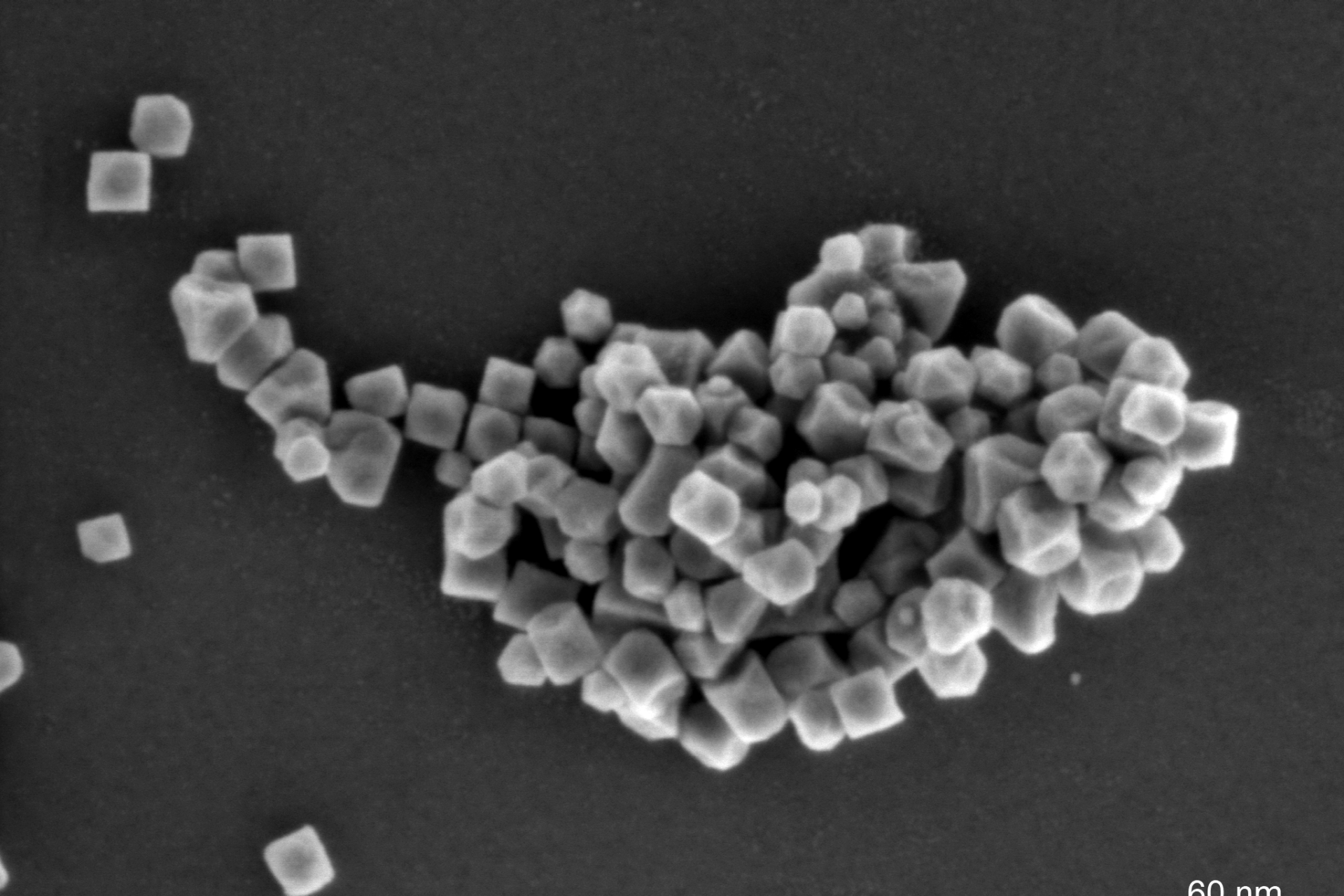 Nanoscience