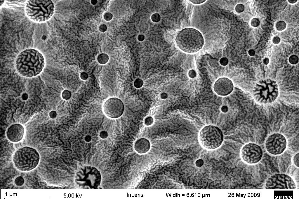 Polymers