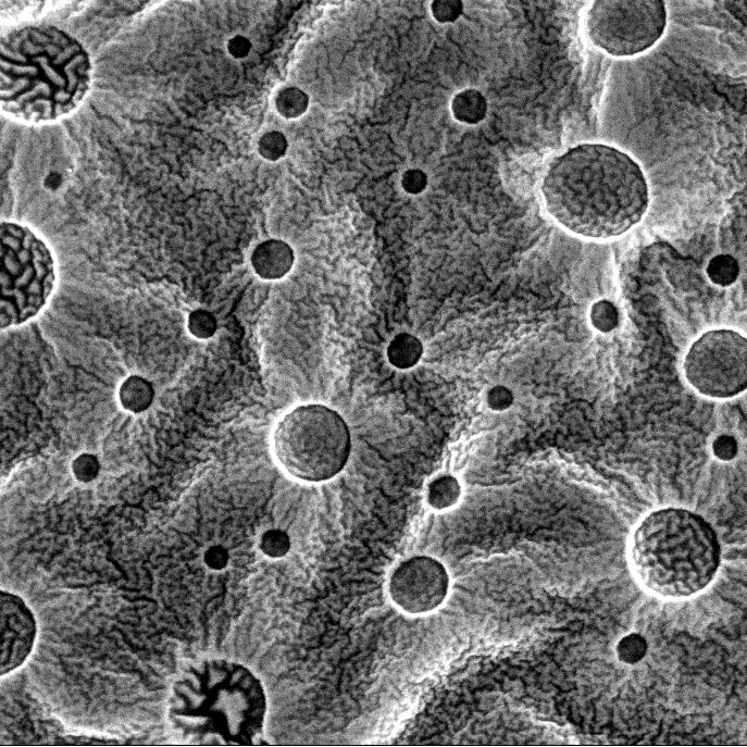Polymers