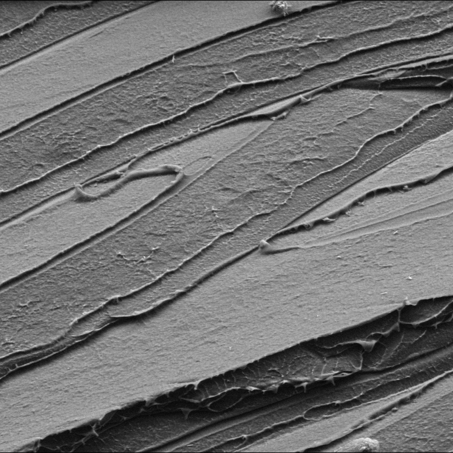 Polymers