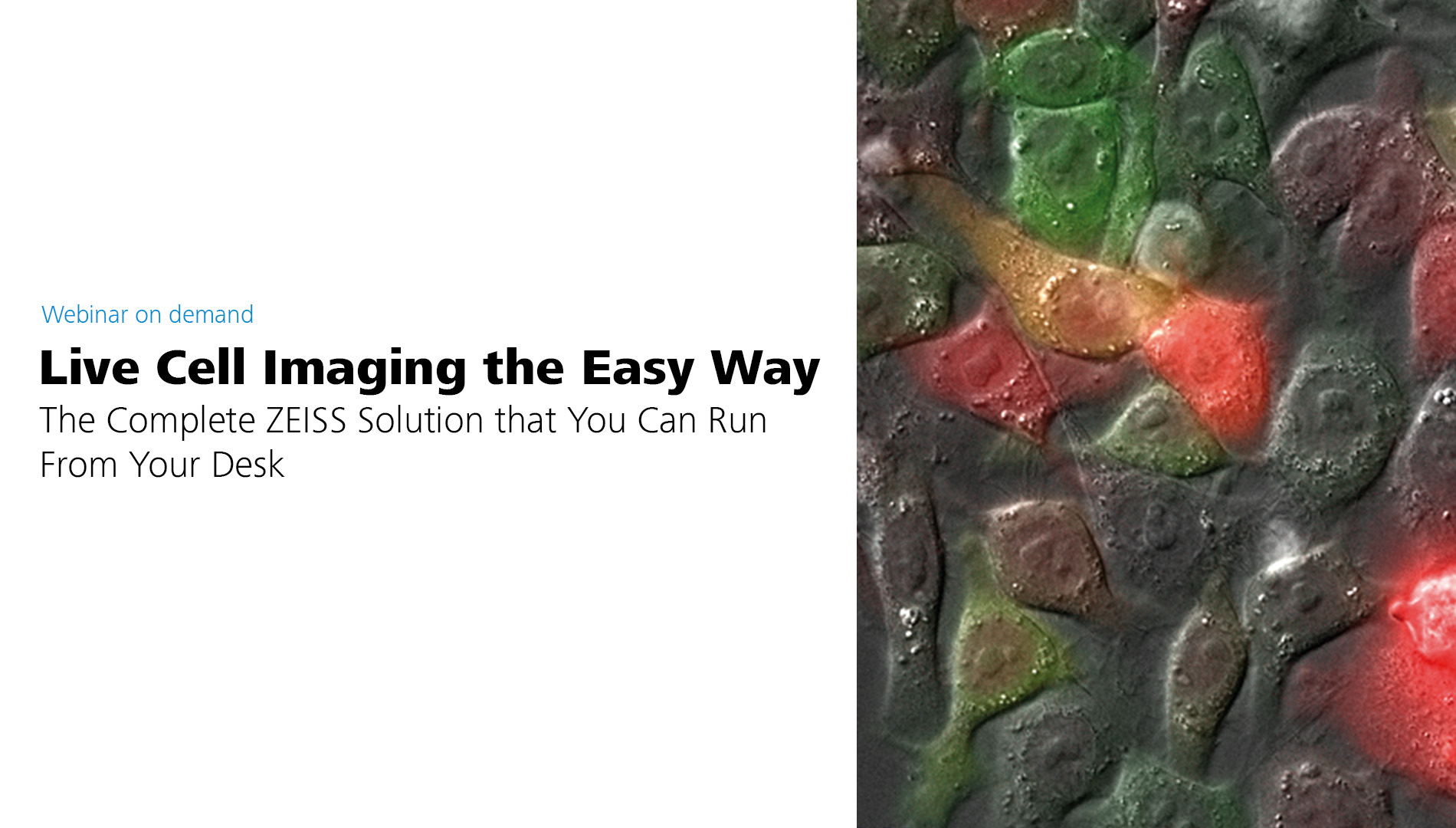 Live Cell Imaging the Easy Way Webinar Biology Diagrams