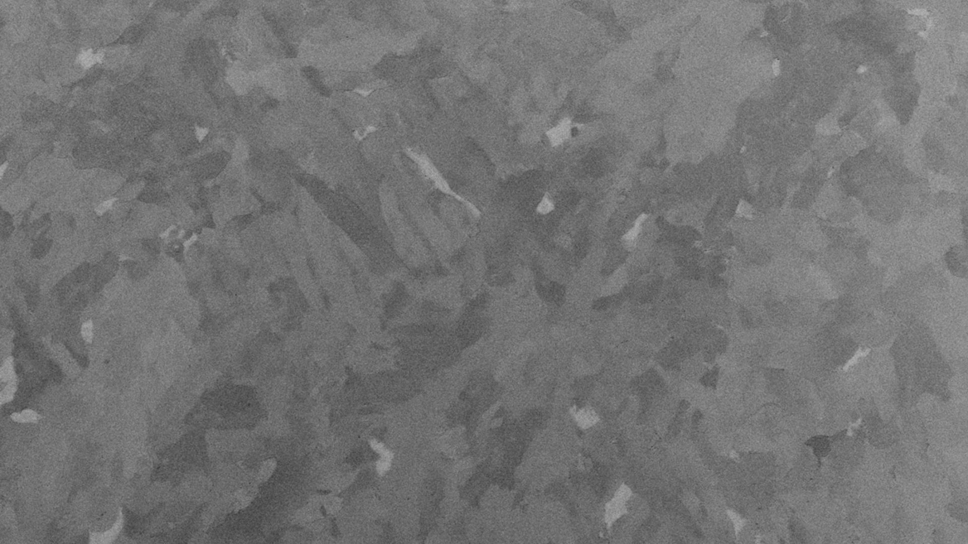 High collection-angle BSE (backscattered electrons) contrast allows visualization of hard martensite phase in steel manufacturing.
