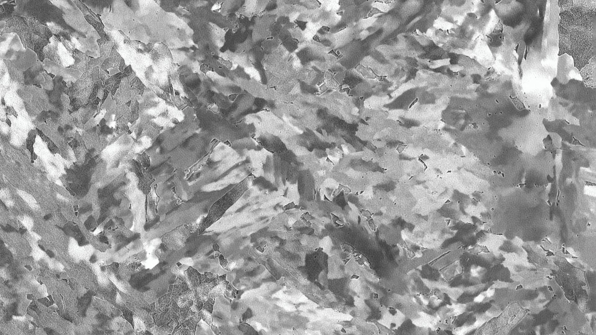 Low collection-angle BSE (backscattered electrons) gives channeling contrast aiding in the development of high-tensile strength steel.