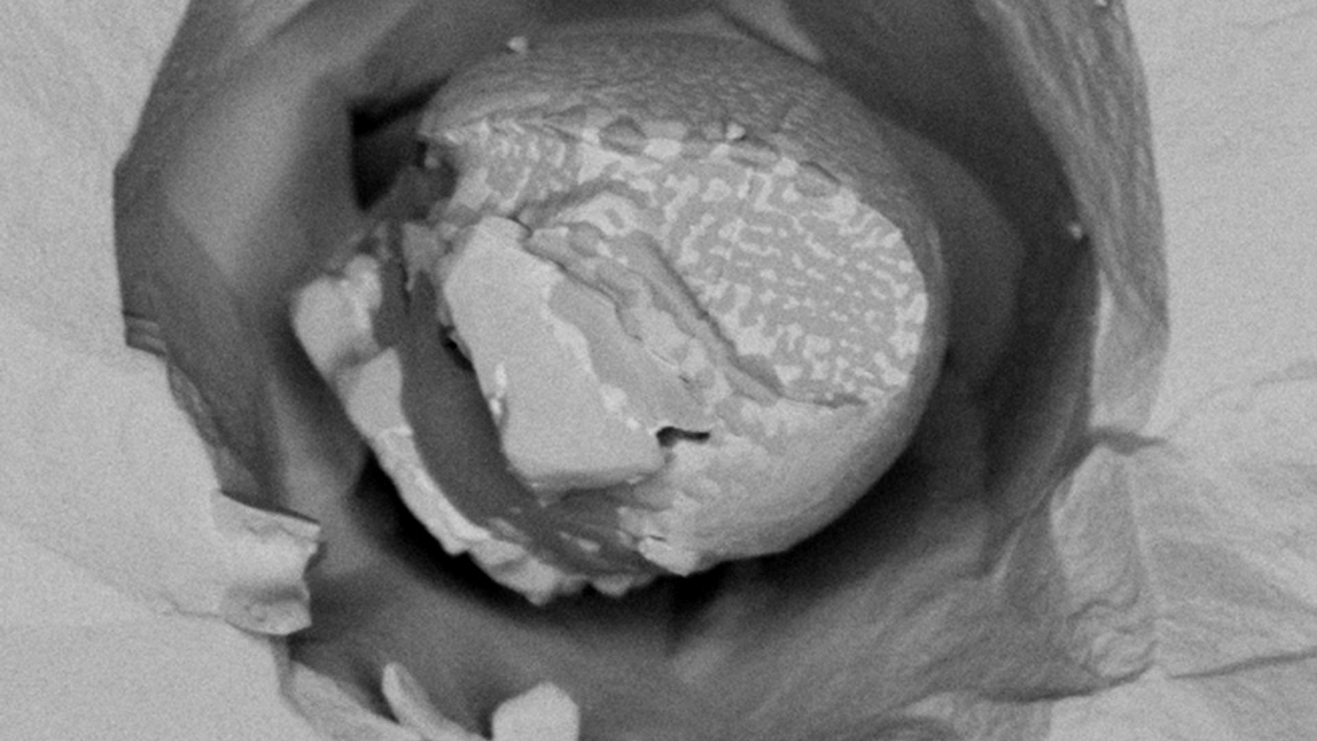 Backscattered electron image at 1kV gives detailed chemical inhomogeneity of non-metallic inclusion.