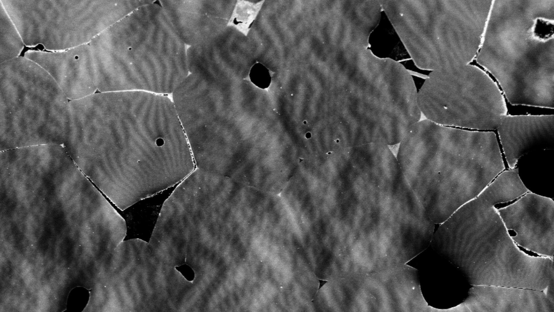 n-lens Secondary Electron detector gives magnetic contrast when viewing at 1kV.