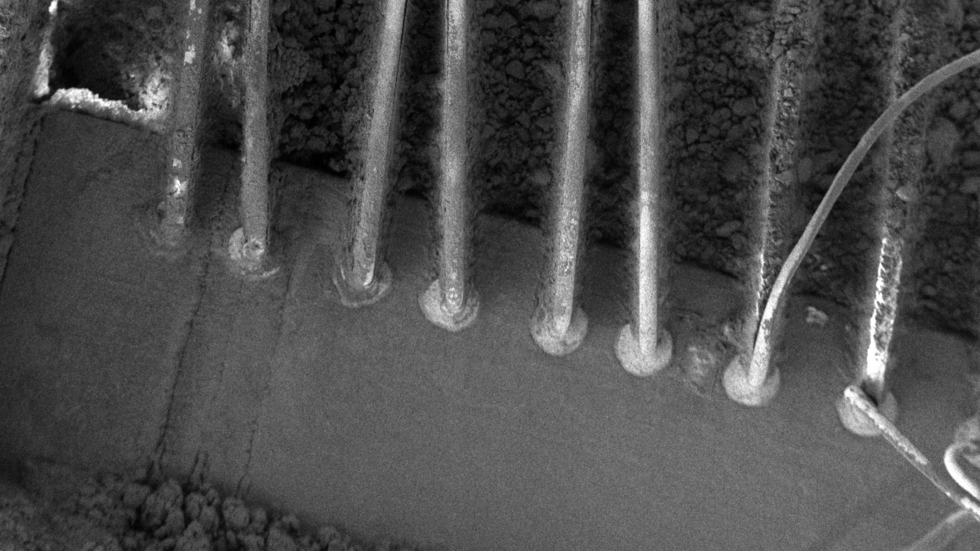 Preparing bond wires for testing