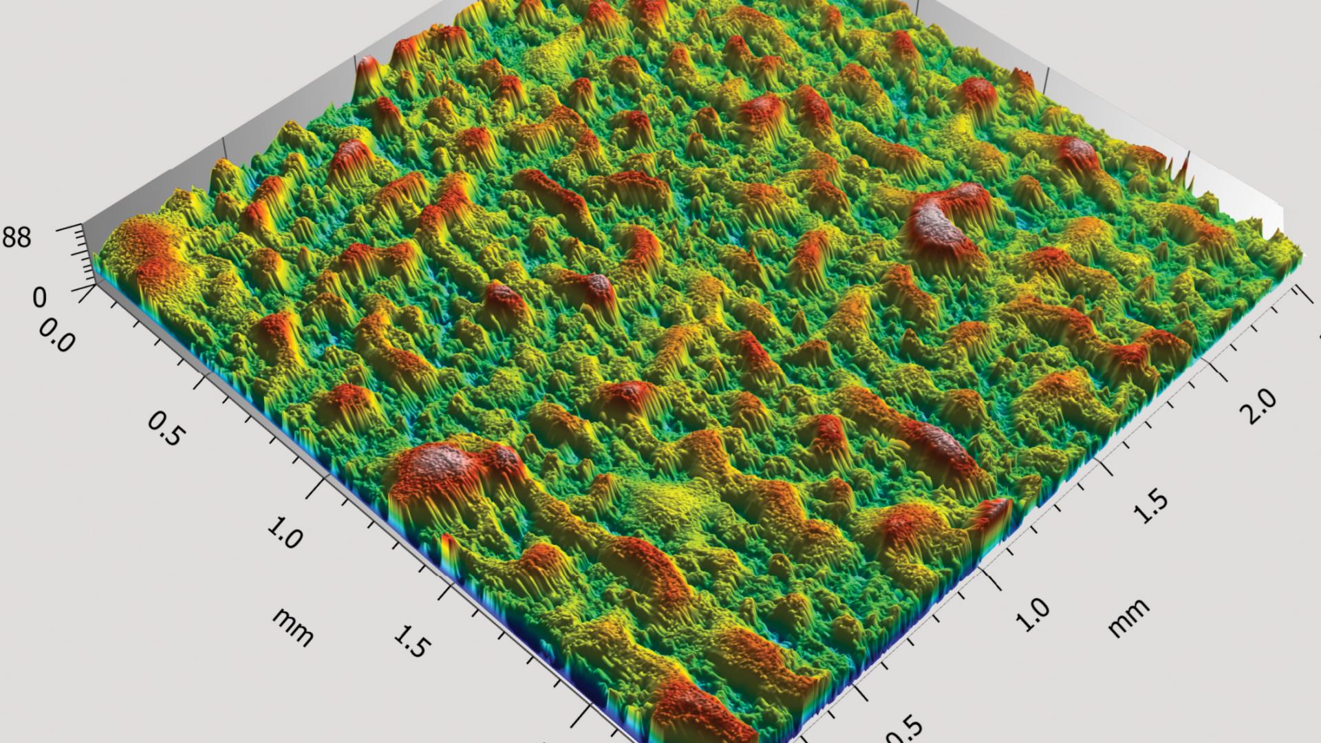 Surface roughness determined by laser scanning confocal microscopy.