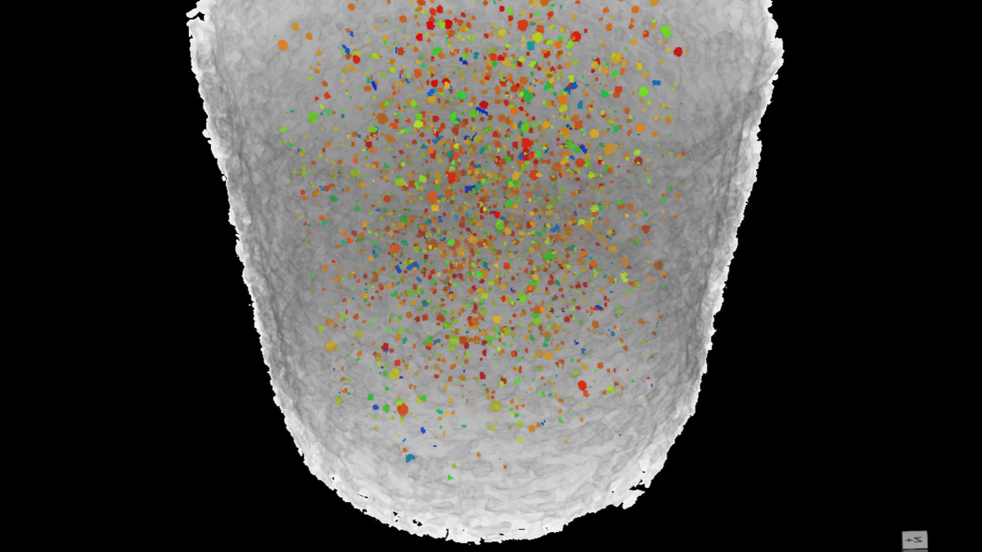 Visualization of the aspect ratio of the pore space in a tensile specimen.