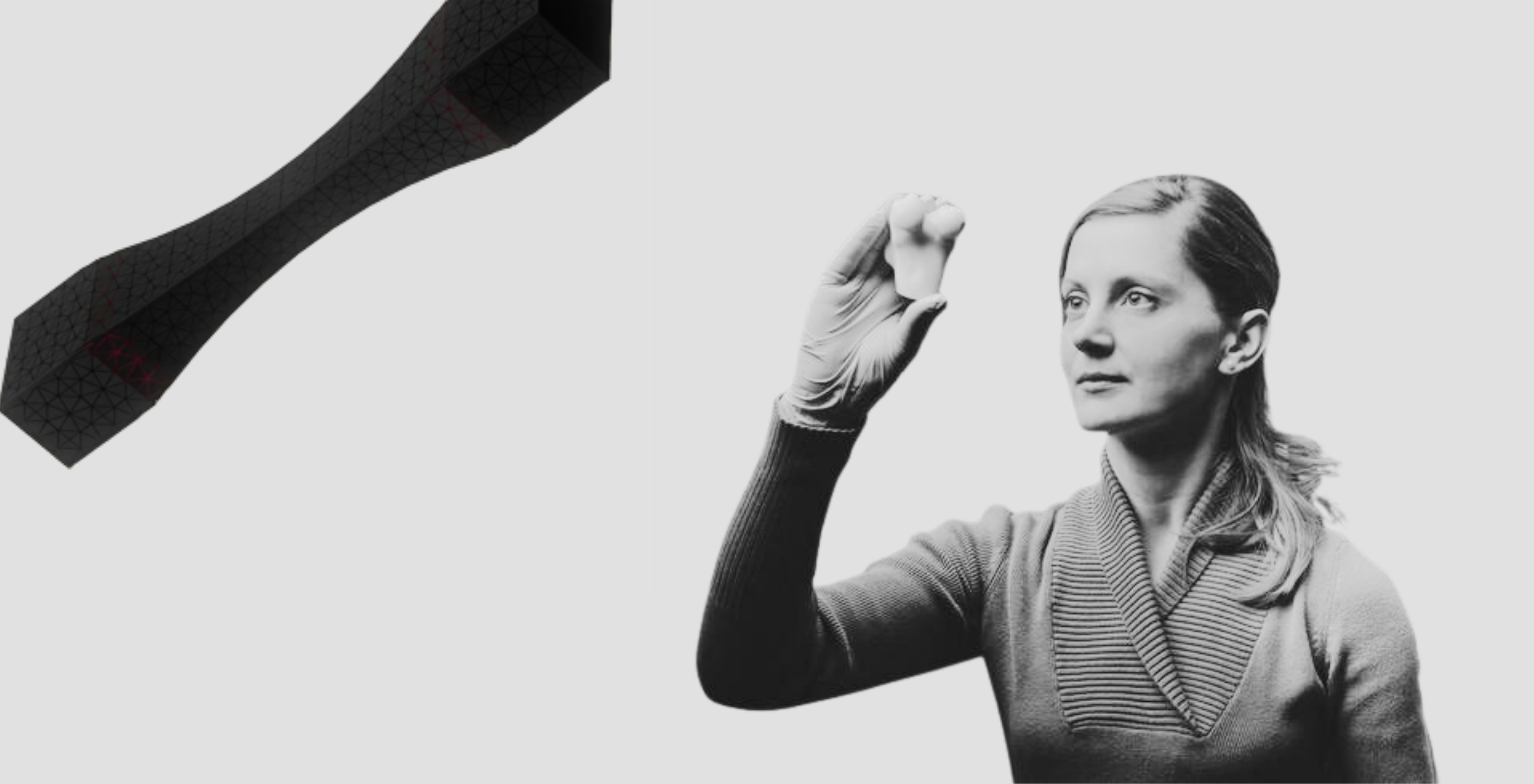 Customer Feature: Dr. Mihaela Vlasea