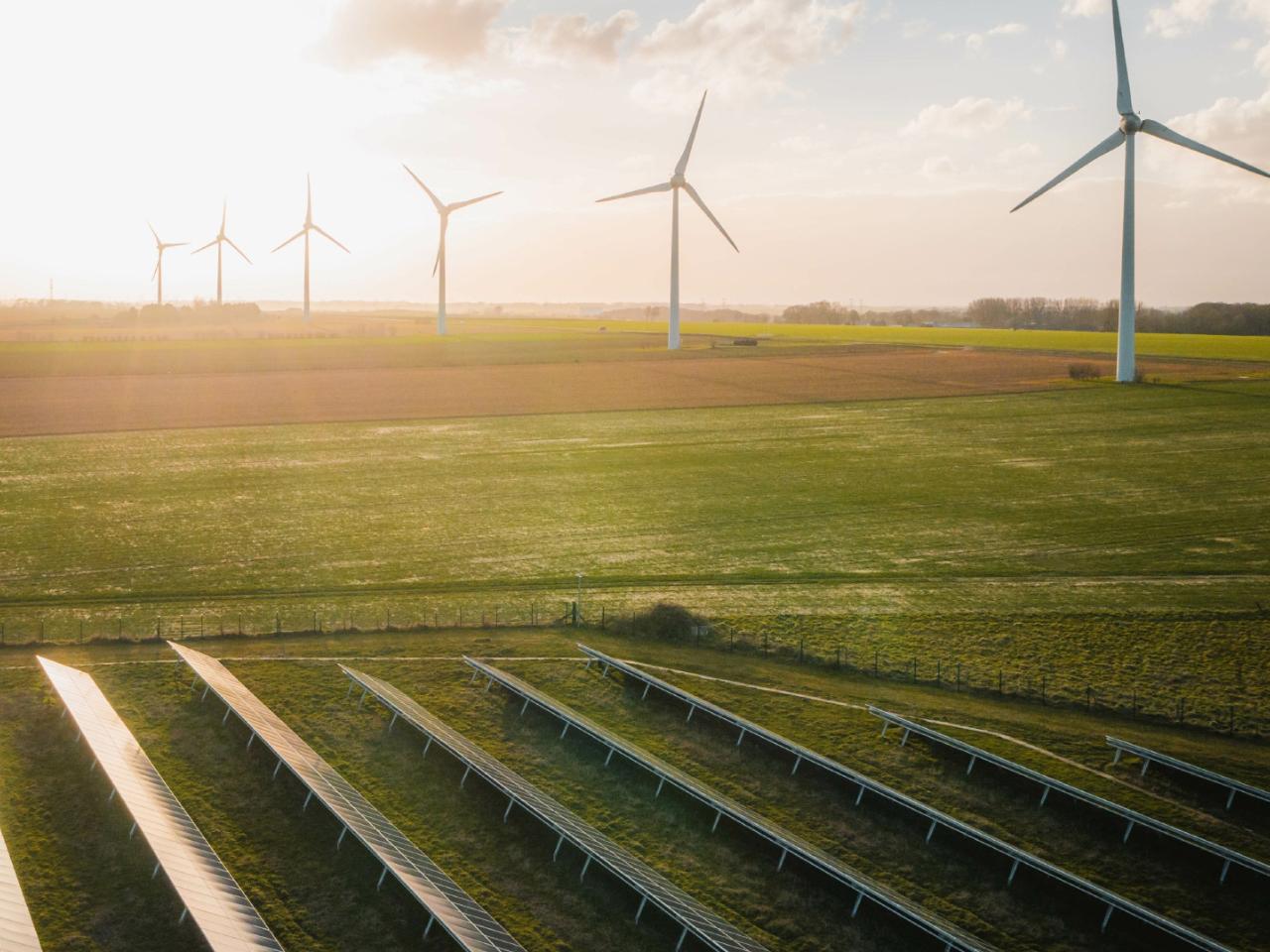 Solar panels in a green field with wind turbines on the horizon under a sunny sky