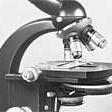 1950年 - 標準型の顕微鏡が、ZEISSの歴史の中で最も成功したモデルの1つになりました。