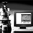 1999 – PlasDIC von ZEISS erlaubt die Verwendung von Probenschalen aus Kunststoff für mikroskopische Untersuchungen.