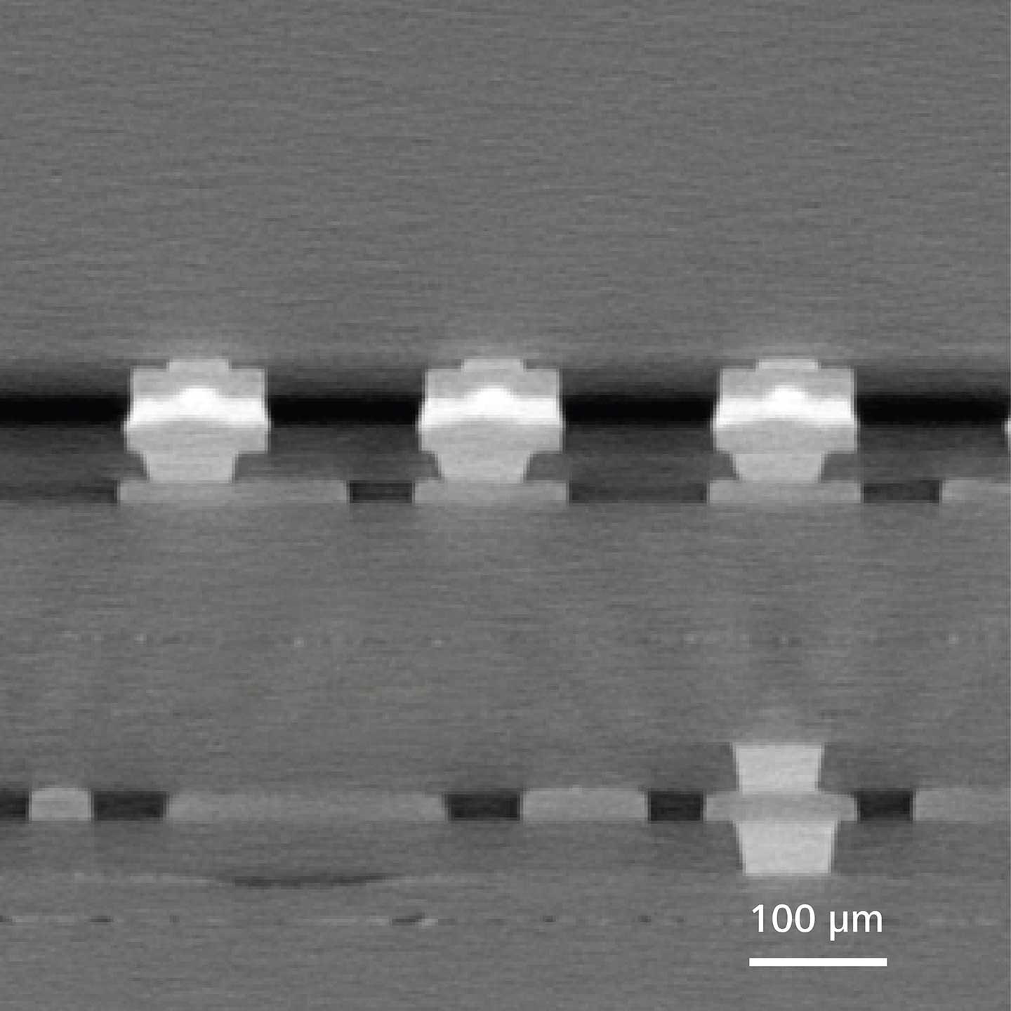 Virtual Cross Section of C4 Bumps