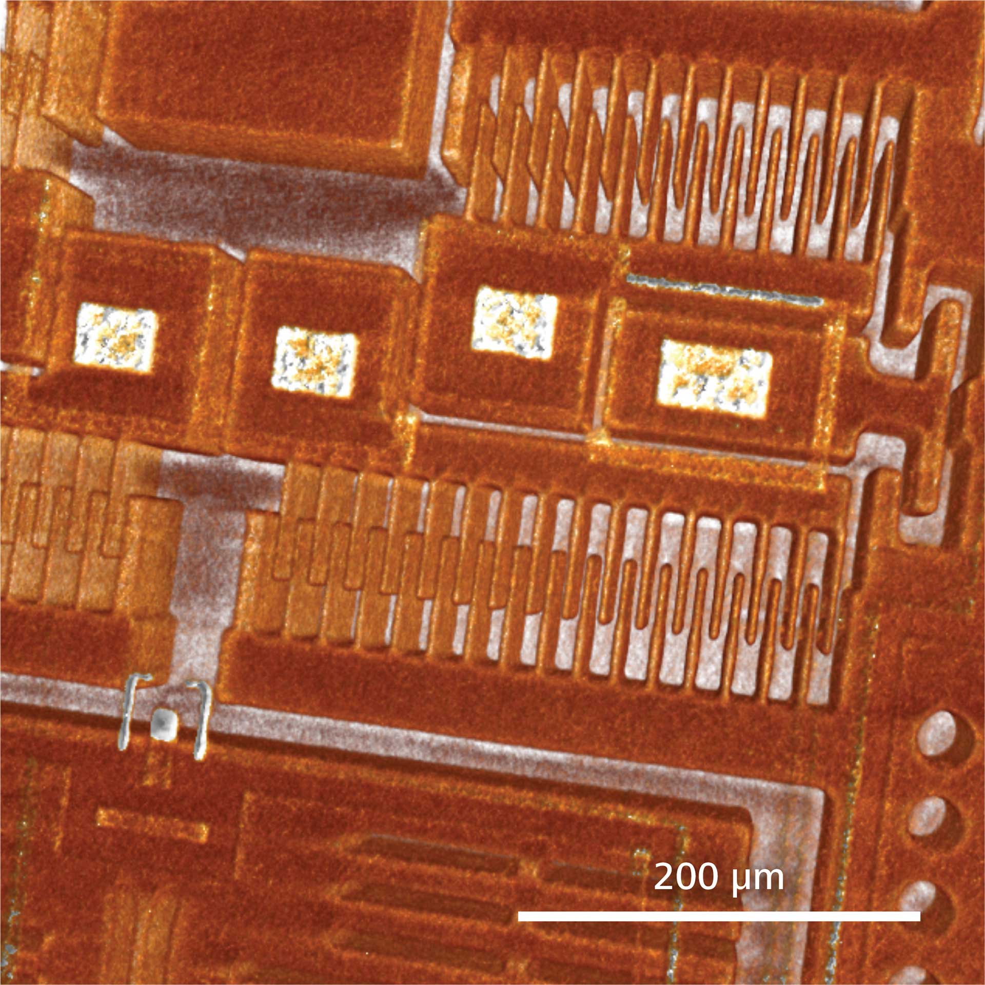 3D-Bild eines Beschleunigungssensors (MEMS)