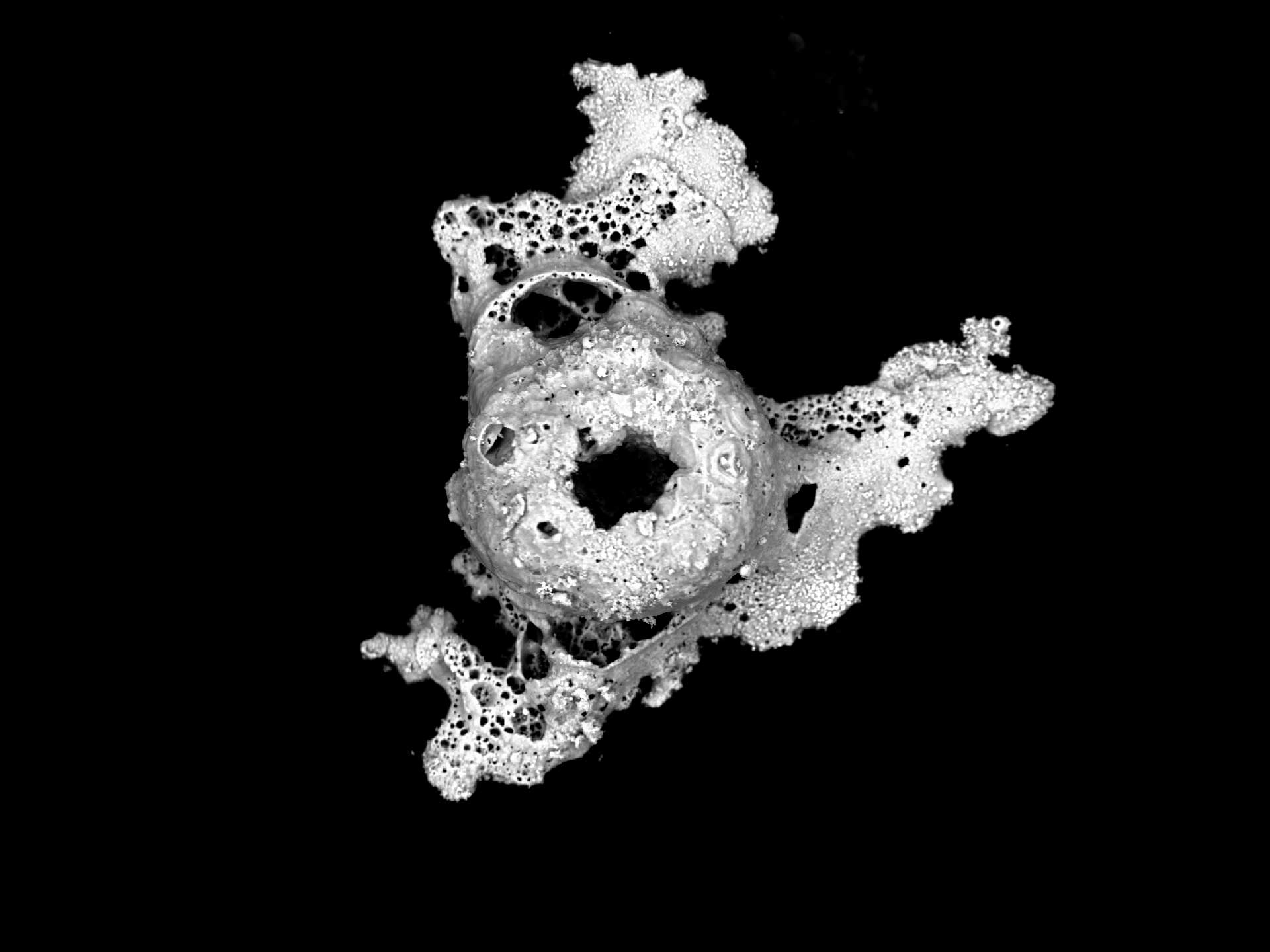 Gunshot Residue made of Ti and Zn 