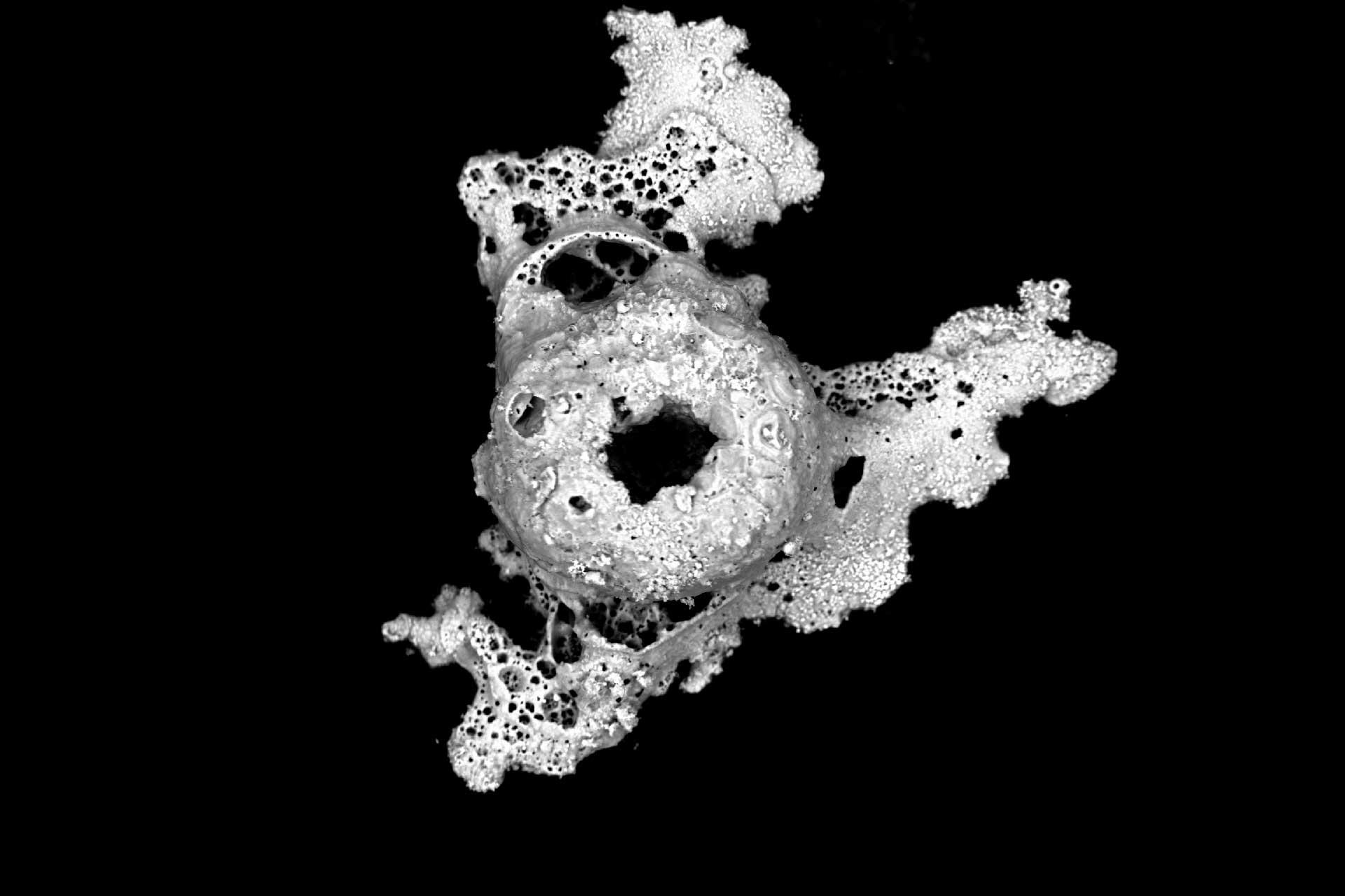 Gunshot Residue made of Ti and Zn 