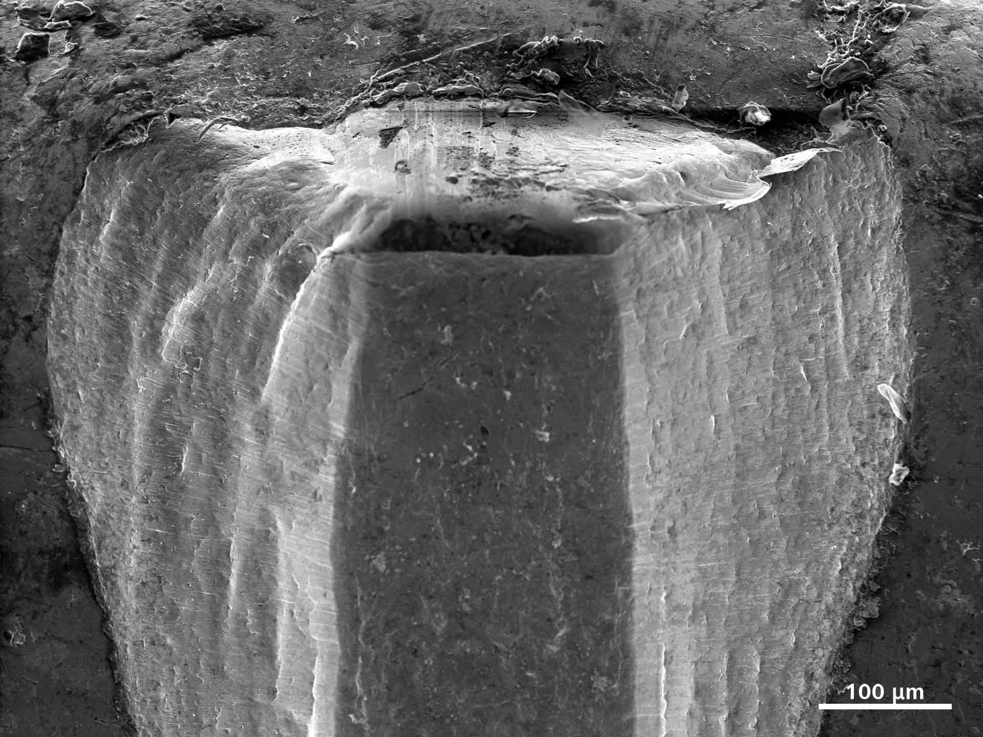 Patronenhülse mit Narben und Spuren verursacht durch den Schlagbolzen; abgebildet mit ZEISS EVO, SE-Detektor bei 10 kV