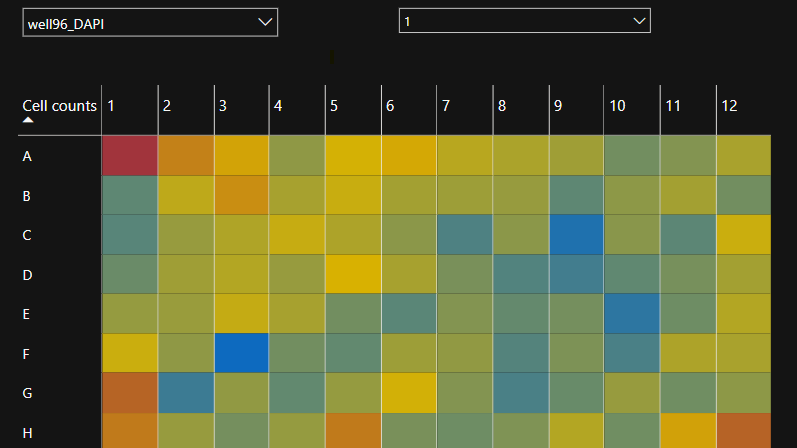 A matrix of 96 rectangles in various shades of yellow, orange, red and blue, represents analysis results of nuclei counting analysis, indicating the number of nuclei per image in each well across a 96-well plate (red: high, blue: low).