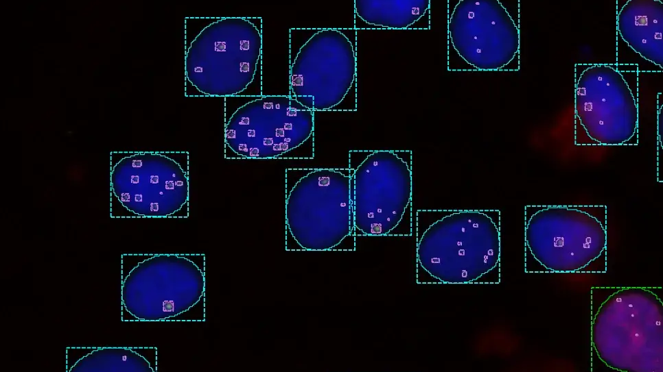 From Image to Resuls | High Content Imaging for Genotoxicity
