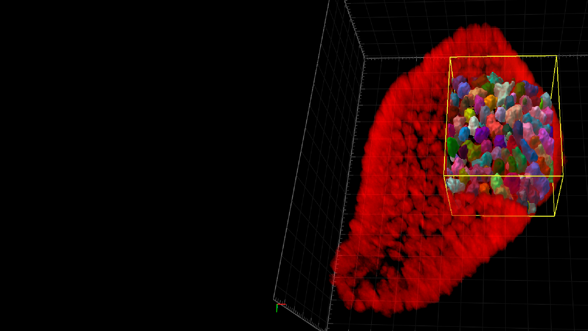 3D preview of analysis results in which individual cells in the outer layer of an organoid are visualized in different colors.