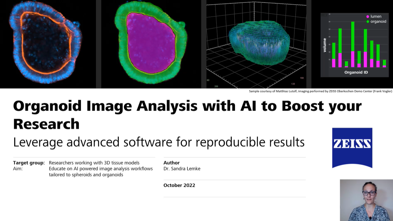 A screenshot from a webinar about organoid analysis. On the top left you see an organoid microscopy image slice of an organoid, then prediction of an AI model applied to that image on its right. Further right you see a 3D visualization of the entire organoid and on the left a stacked bar plotting organoid and lumen volume of a few organoids. Below the images you see the title of the webinar. The ZEISS logo and the presenter’s face, Dr. Sandra Lemke, are on the bottom left.