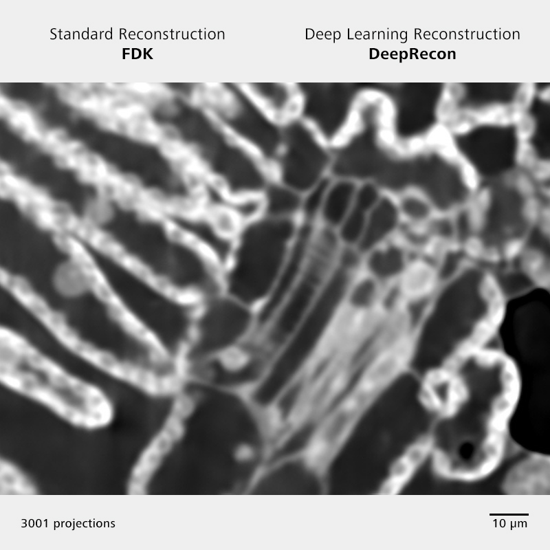 Stanzbiopsie eines Tabakblatts. Der 3001-2D‑Projektionsdatensatz wurde mit DeepRecon (rechts) rekonstruiert