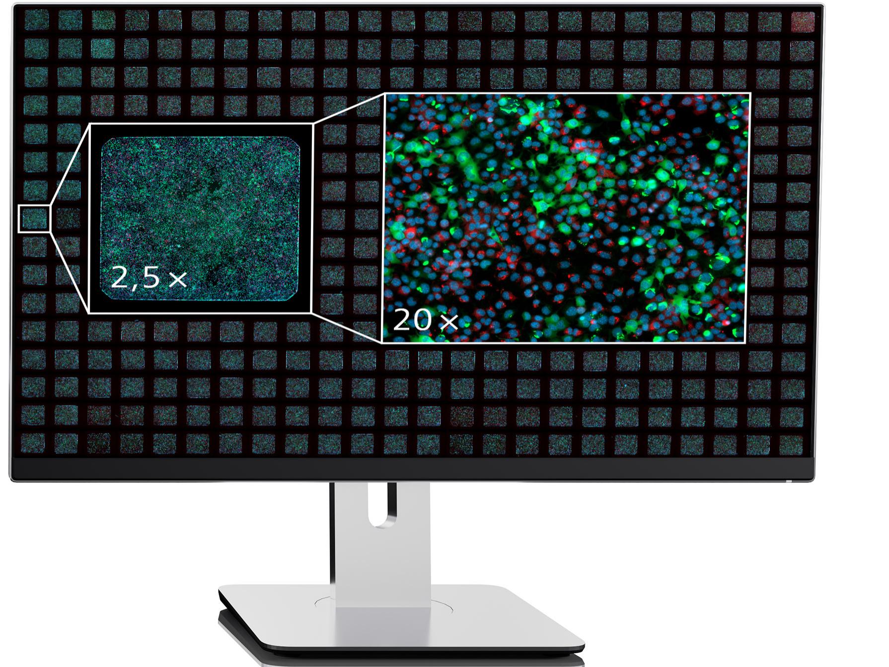 Lead Identification: Who Hits the Target?