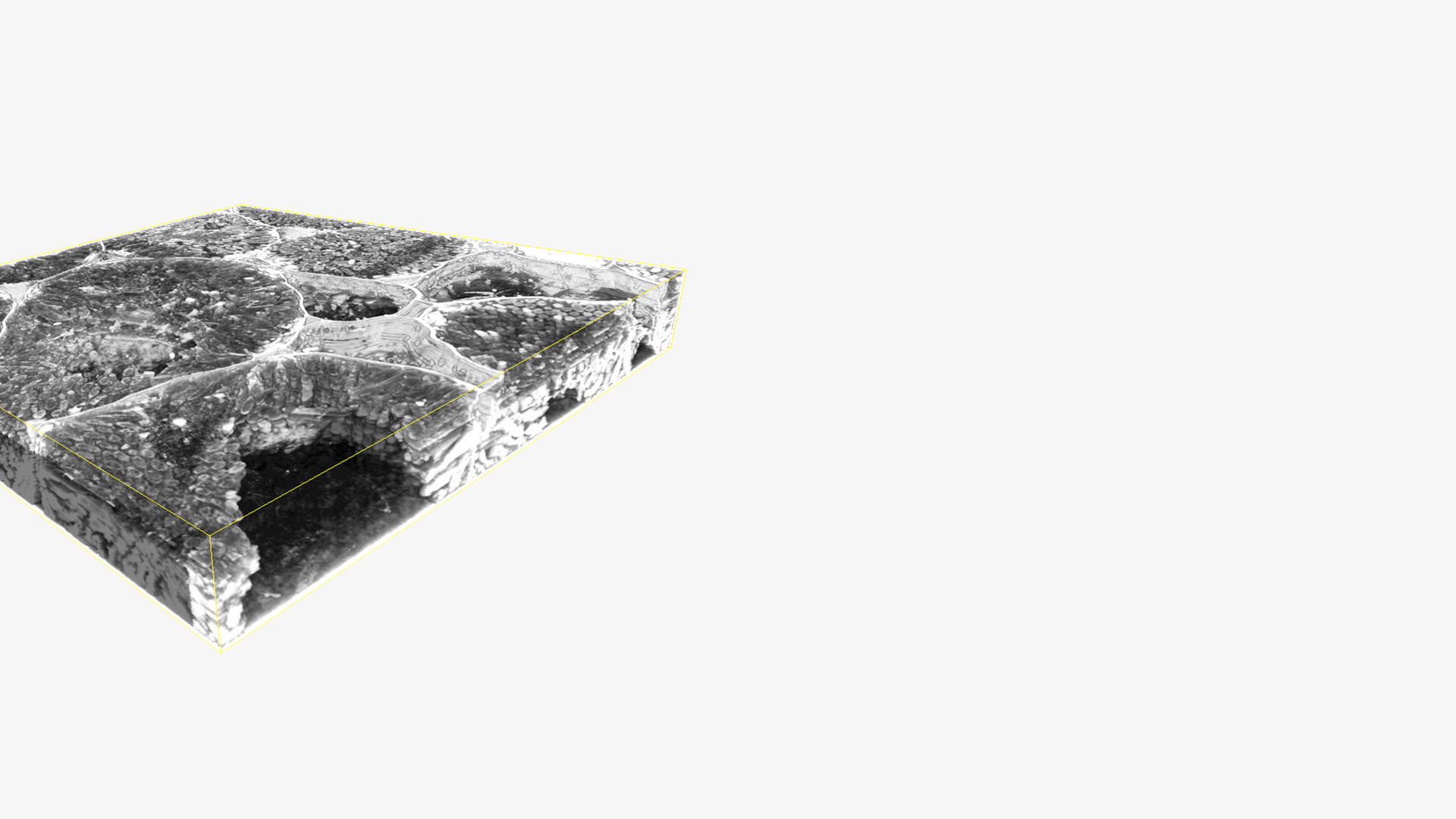 Array TomographyのアプリケーションCourtesy of D. Sherrier, J. Caplan, and S. Modla, University of Delaware, USA