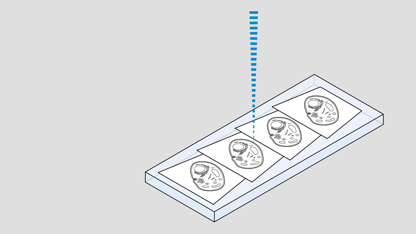 Volume EM with Array Tomography​