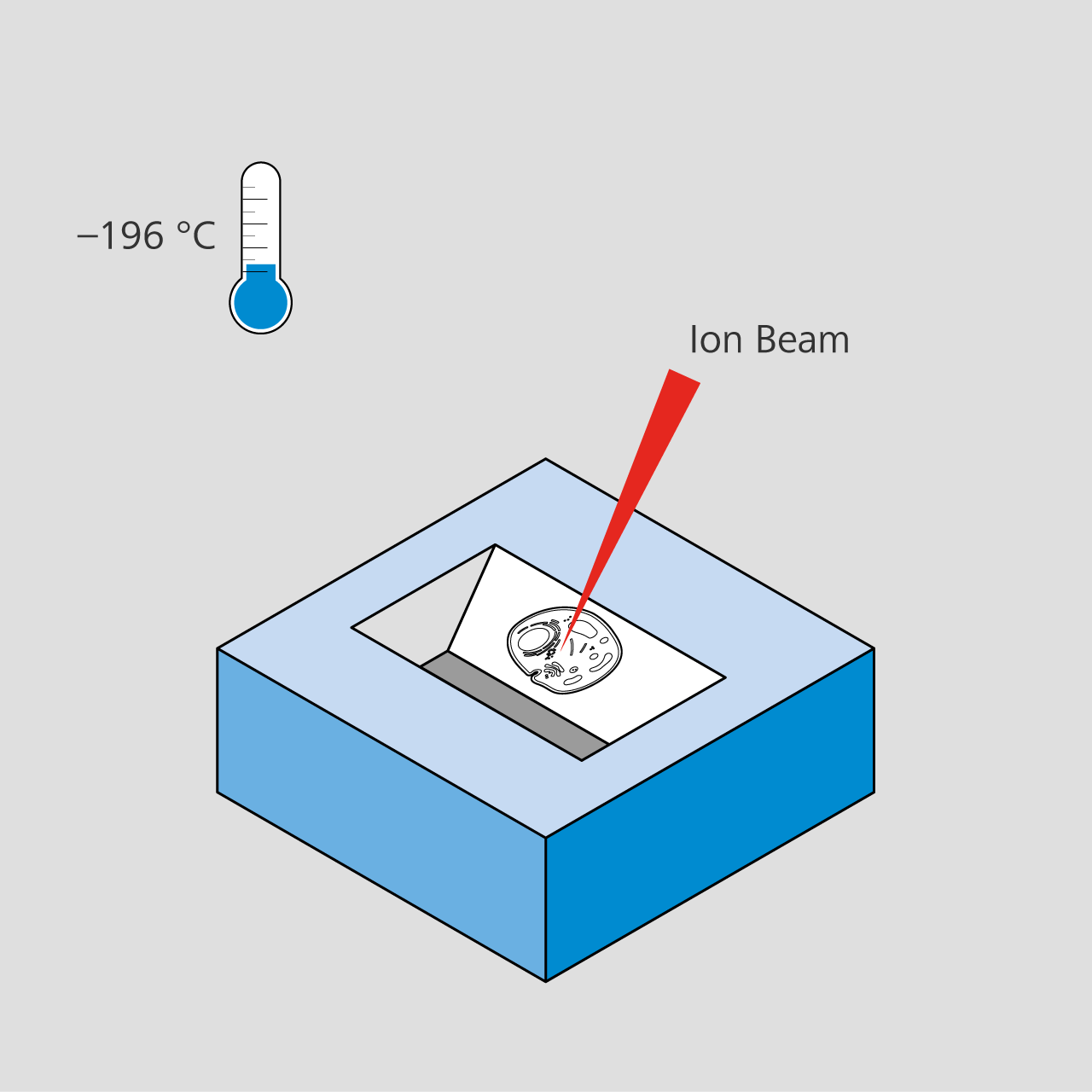冷冻聚焦离子束扫描电子显微镜切割