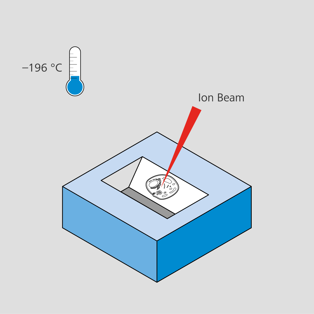 Cryo FIB-SEM milling